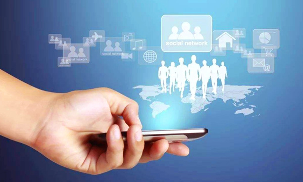 快速的尋獵反應(yīng)